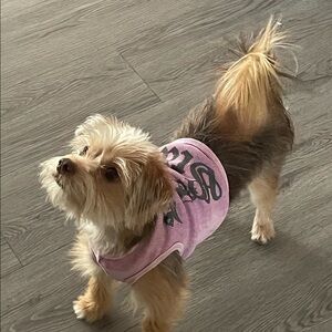 Maddie in pink Rock Star💕💕💕